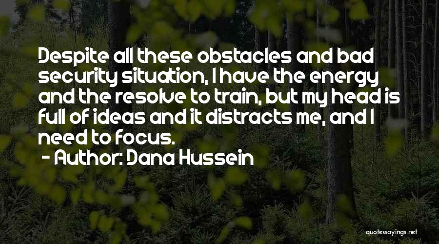 Energy Security Quotes By Dana Hussein