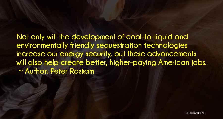 Energy Security Quotes By Peter Roskam