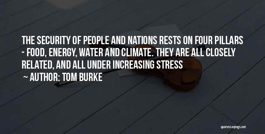 Energy Security Quotes By Tom Burke