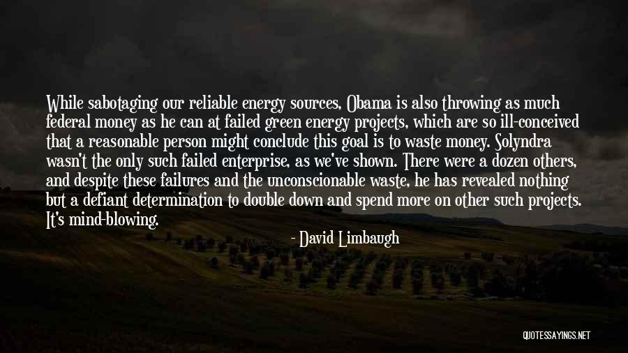 Energy Sources Quotes By David Limbaugh