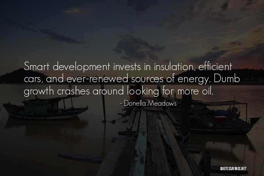 Energy Sources Quotes By Donella Meadows