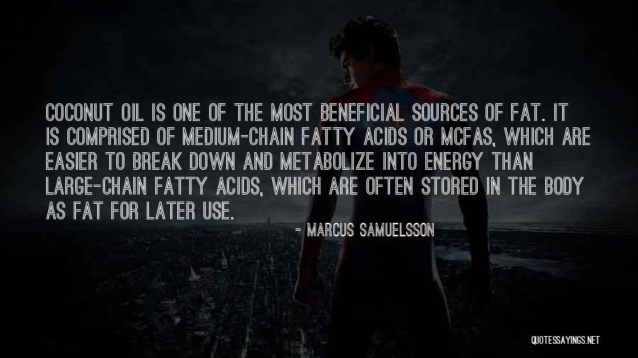 Energy Sources Quotes By Marcus Samuelsson