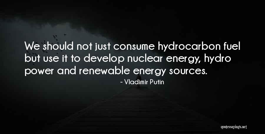 Energy Sources Quotes By Vladimir Putin