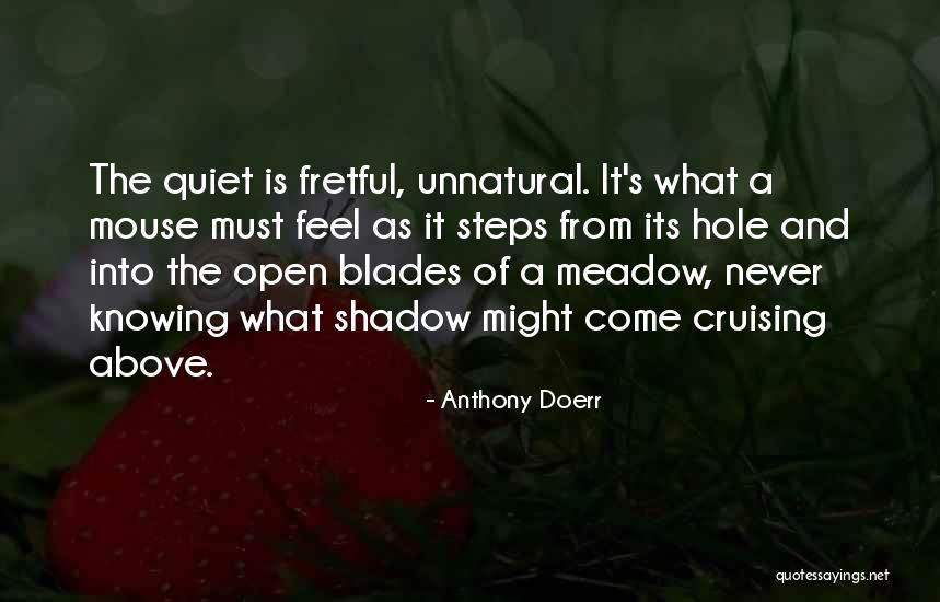 Enfield Minicab Quotes By Anthony Doerr Enfield Minicab Quotes By Anthony Doerr