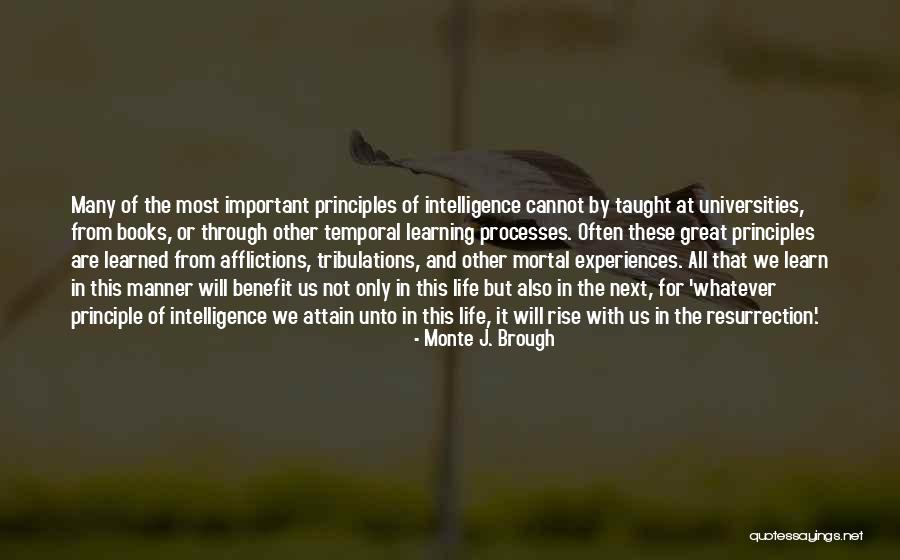 Enfillade Quotes By Monte J. Brough Enfillade Quotes By Monte J. Brough