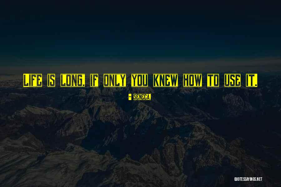 Enfocarse In English Quotes By Seneca. Enfocarse In English Quotes By Seneca.
