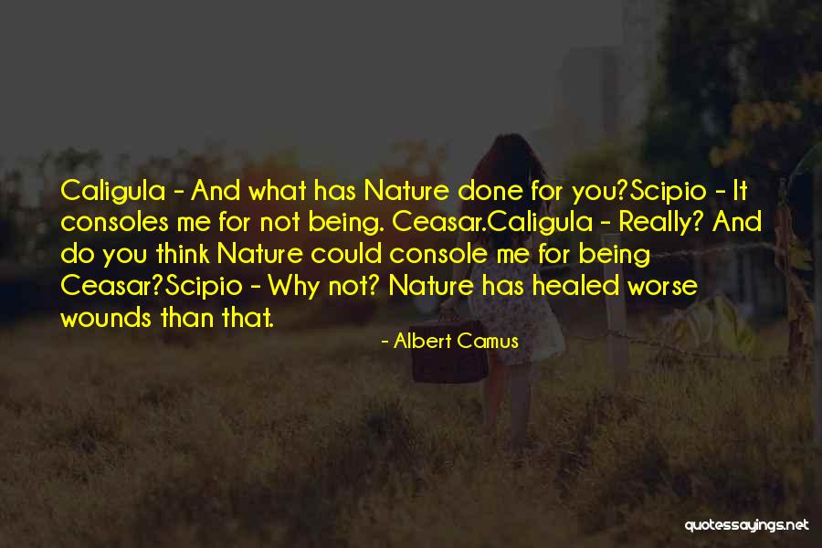 Enformasyon Ile Quotes By Albert Camus Enformasyon Ile Quotes By Albert Camus