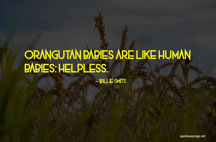Enfrentarse Quotes By Willie Smits