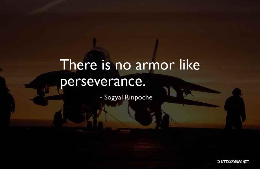 Enfurecido Ex Quotes By Sogyal Rinpoche Enfurecido Ex Quotes By Sogyal Rinpoche