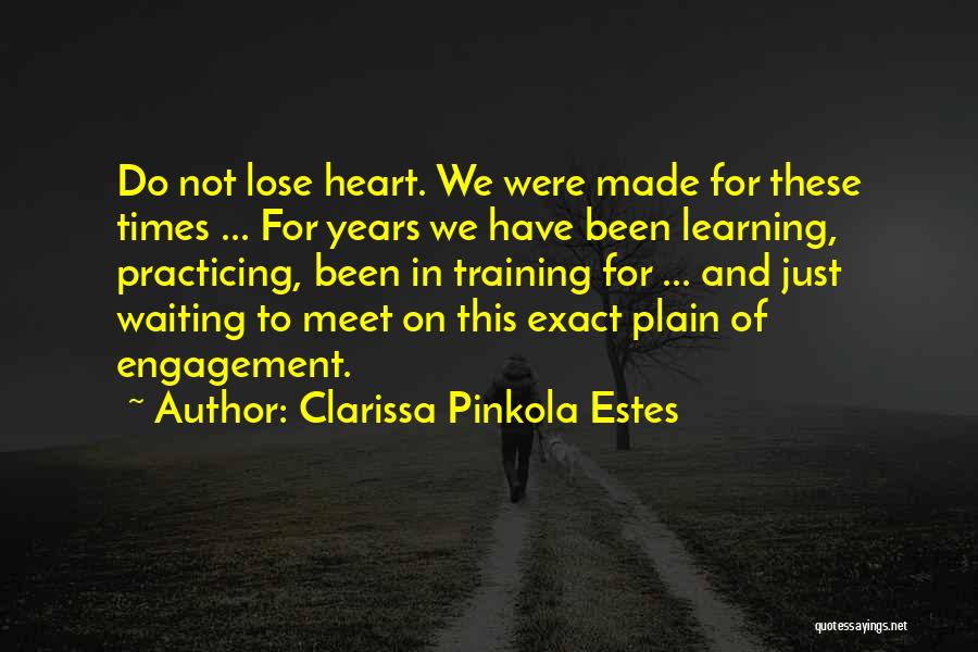 Engagement And Learning Quotes By Clarissa Pinkola Estes