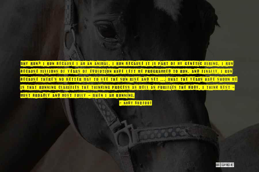 Engatusar Definicion Quotes By Amby Burfoot Engatusar Definicion Quotes By Amby Burfoot