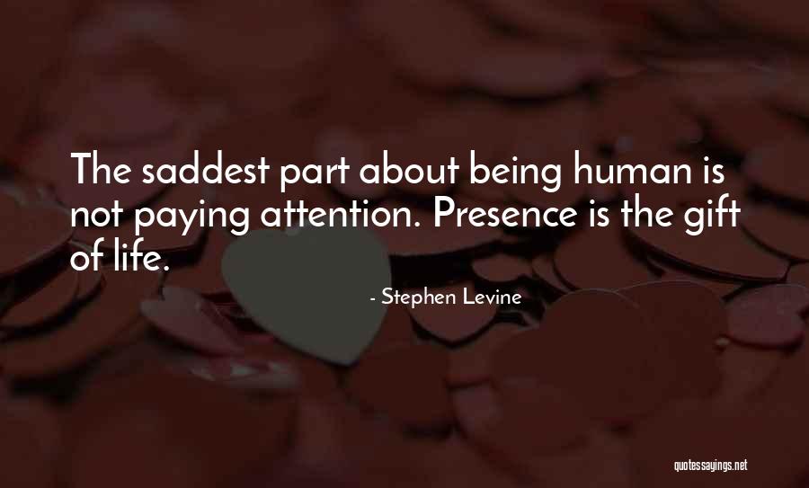 Engedi Pest Quotes By Stephen Levine Engedi Pest Quotes By Stephen Levine