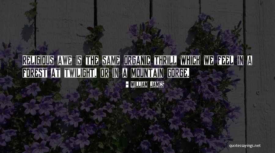 Engelska Quotes By William James Engelska Quotes By William James