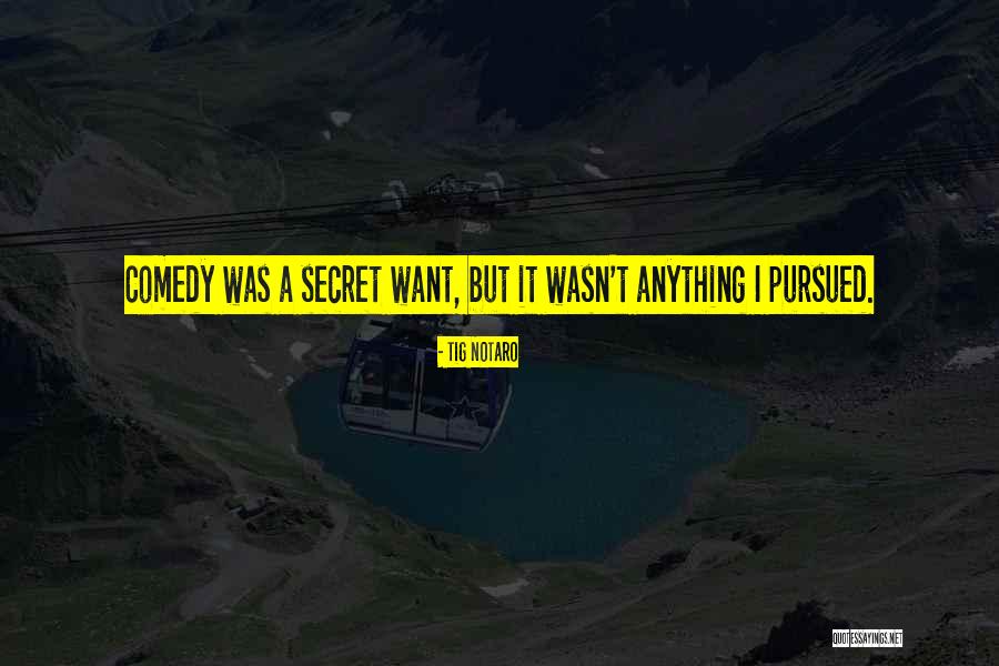 Engelske Pund Quotes By Tig Notaro Engelske Pund Quotes By Tig Notaro