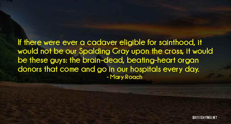 Engenharia Fisica Quotes By Mary Roach Engenharia Fisica Quotes By Mary Roach