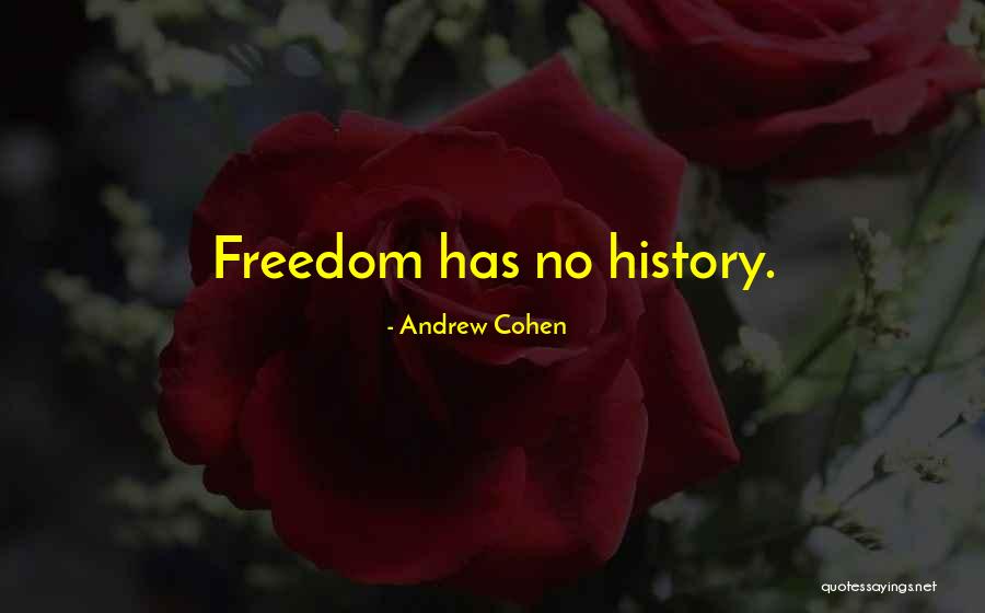 Engie Quotes By Andrew Cohen Engie Quotes By Andrew Cohen
