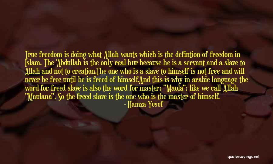 Engineering Toys Quotes By Hamza Yusuf Engineering Toys Quotes By Hamza Yusuf