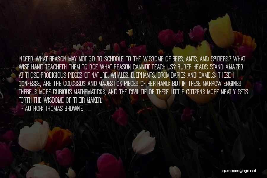 Engines Quotes By Thomas Browne