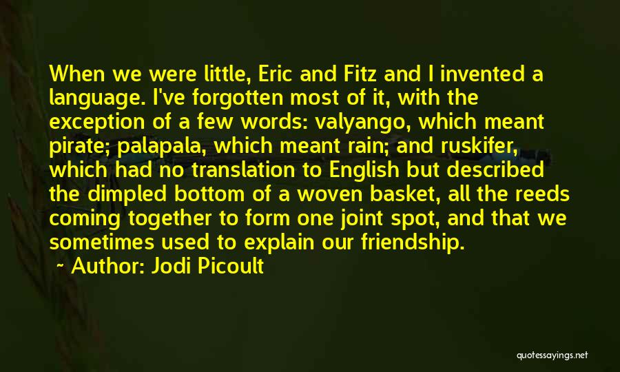 English Friendship Quotes By Jodi Picoult