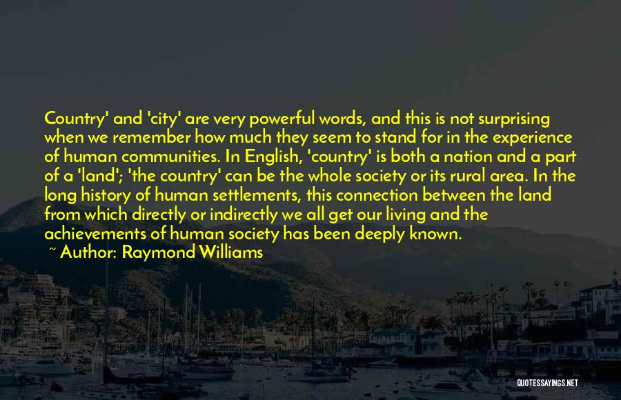 English History Quotes By Raymond Williams