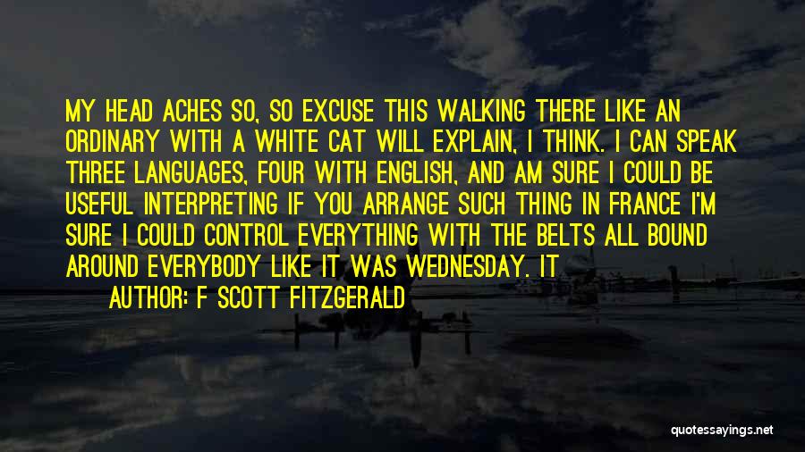 English Languages Quotes By F Scott Fitzgerald