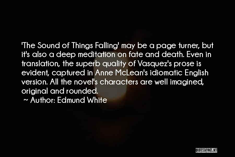 English Novel Quotes By Edmund White