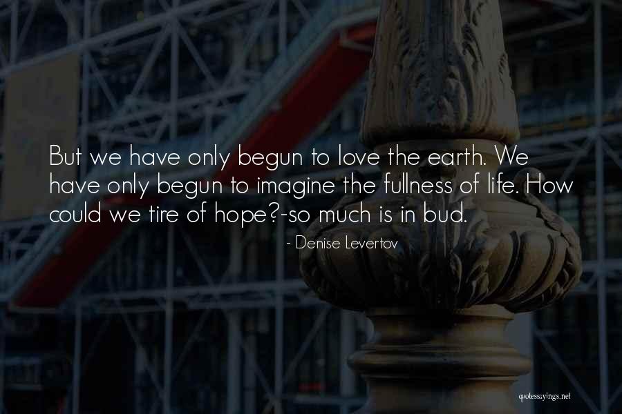 English Patient Soundtrack Quotes By Denise Levertov English Patient Soundtrack Quotes By Denise Levertov