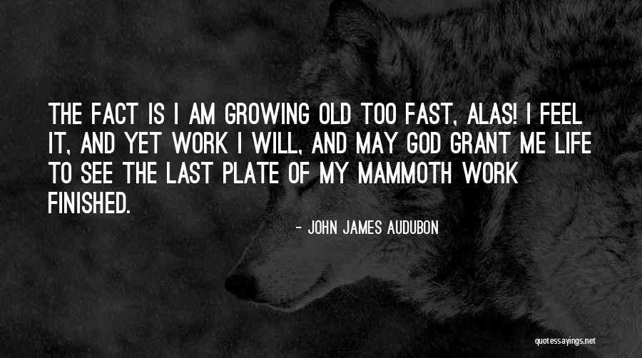 Engraven Quotes By John James Audubon Engraven Quotes By John James Audubon
