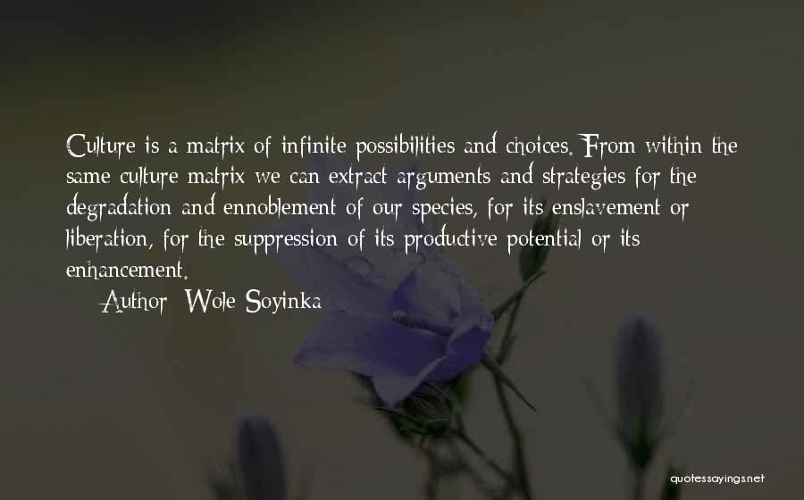 Enhancement Quotes By Wole Soyinka