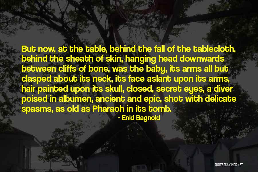 Enid Bagnold Quotes 1642324 Enid Bagnold Quotes 1642324