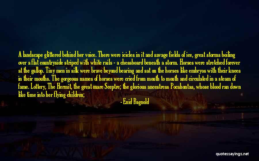 Enid Bagnold Quotes 418460