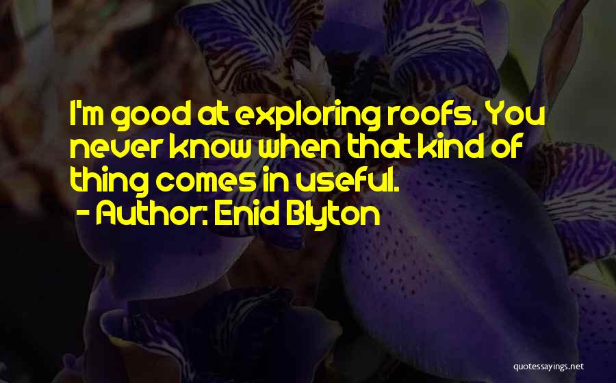 Enid Blyton Quotes 667051