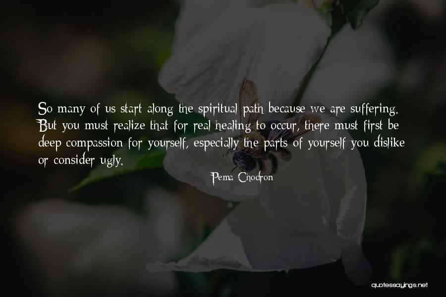 Enid Spca Quotes By Pema Chodron Enid Spca Quotes By Pema Chodron