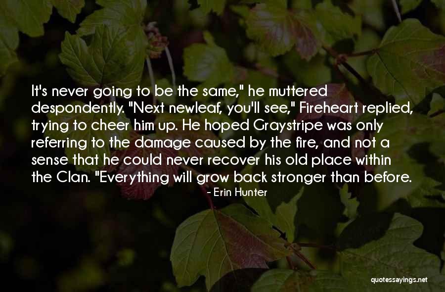 Enigma Norteno Quotes By Erin Hunter Enigma Norteno Quotes By Erin Hunter