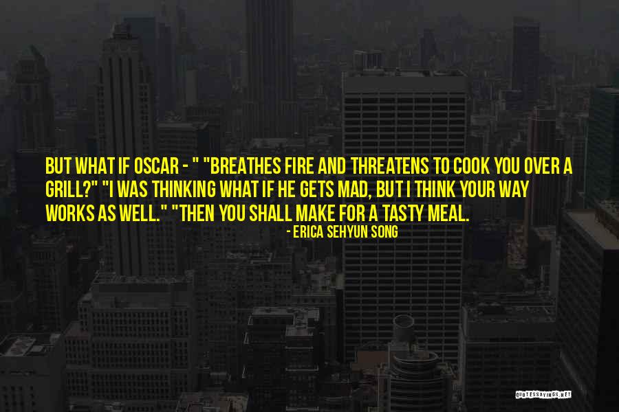 Enigmasoft Quotes By Erica Sehyun Song Enigmasoft Quotes By Erica Sehyun Song