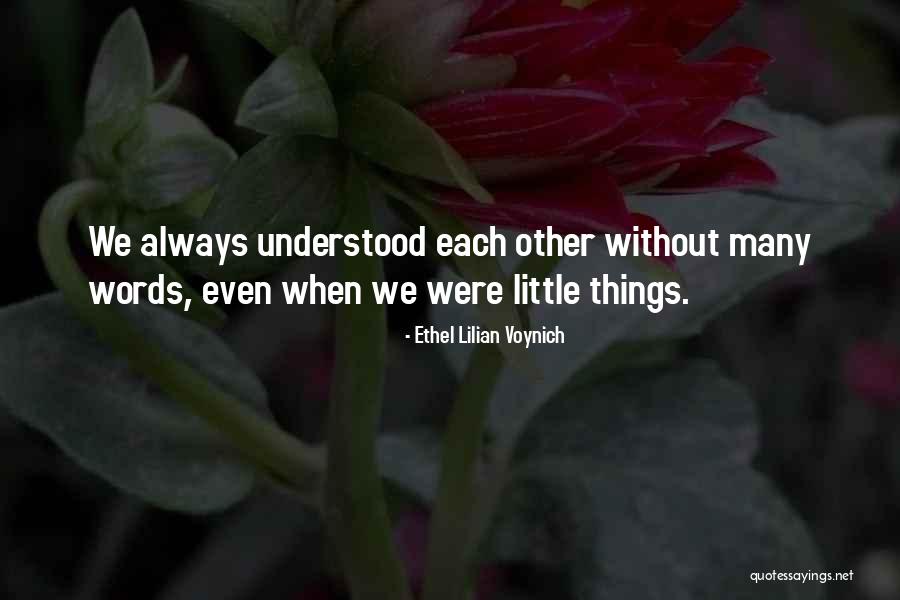 Enigmatically Define Quotes By Ethel Lilian Voynich Enigmatically Define Quotes By Ethel Lilian Voynich