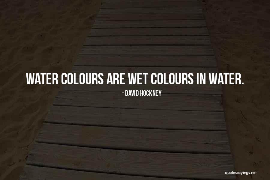 Enis Batur Quotes By David Hockney Enis Batur Quotes By David Hockney
