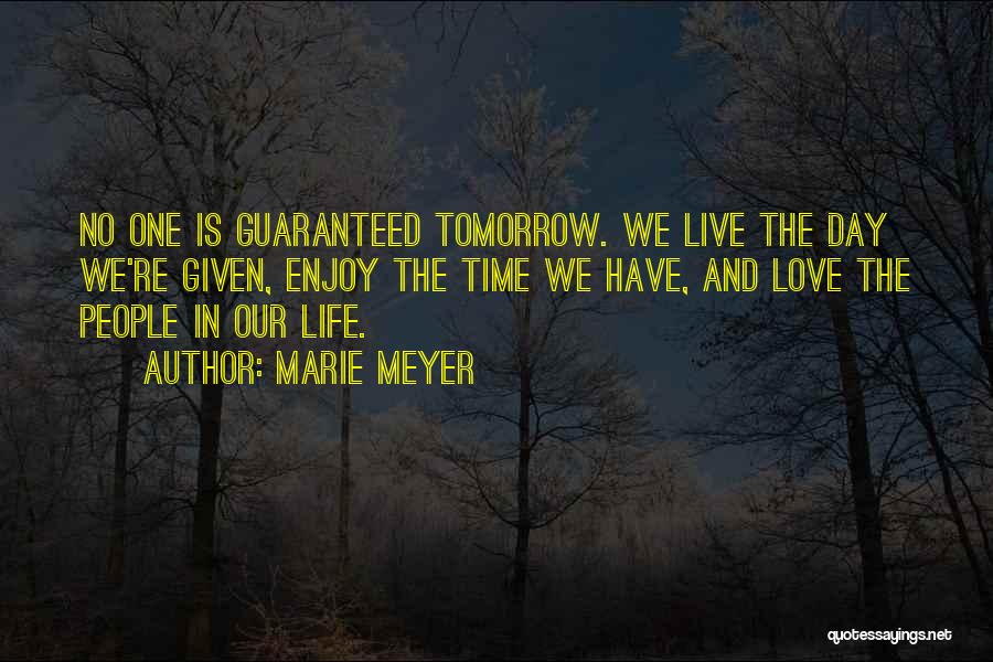 Enjoy And Love Life Quotes By Marie Meyer