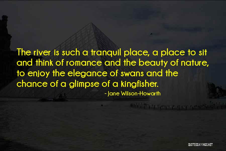 Enjoy Beauty Quotes By Jane Wilson-Howarth Enjoy Beauty Quotes By Jane Wilson-Howarth
