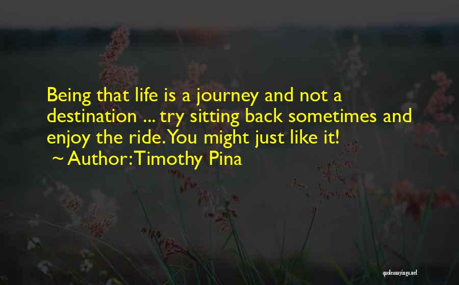 Enjoy Being You Quotes By Timothy Pina