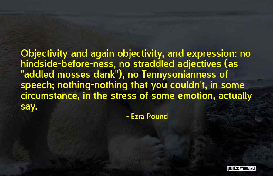 Enjoy Birthday Party Quotes By Ezra Pound Enjoy Birthday Party Quotes By Ezra Pound