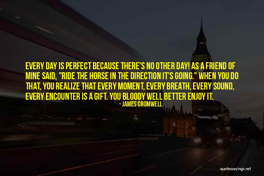 Enjoy Each And Every Moment Quotes By James Cromwell