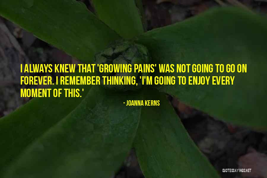 Enjoy Each And Every Moment Quotes By Joanna Kerns