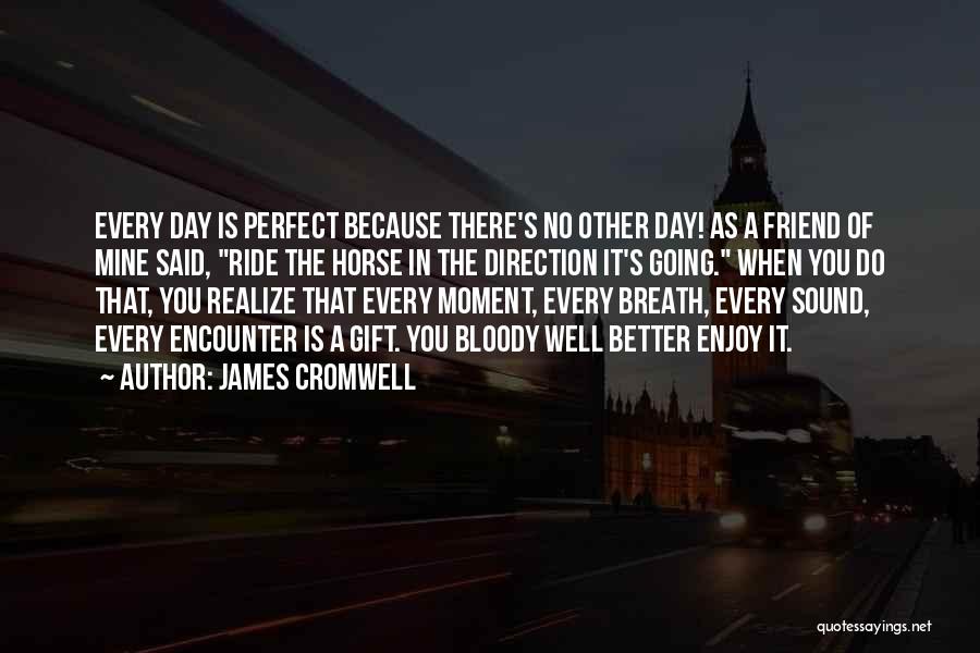 Enjoy Every Moment With You Quotes By James Cromwell