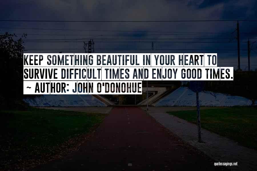 Enjoy Good Times Quotes By John O'Donohue