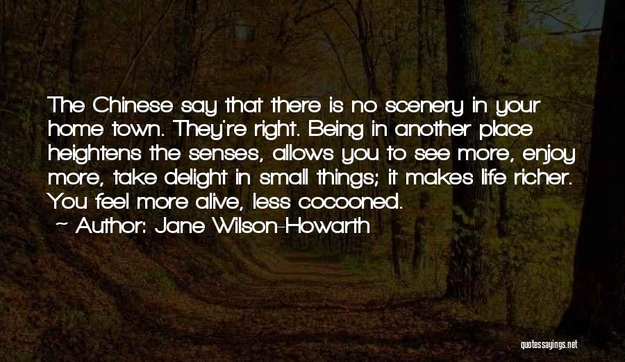 Enjoy Life And Travel Quotes By Jane Wilson-Howarth