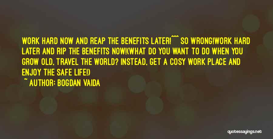 Enjoy Life And Work Quotes By Bogdan Vaida