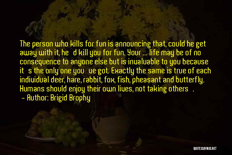 Enjoy Life Fun Quotes By Brigid Brophy