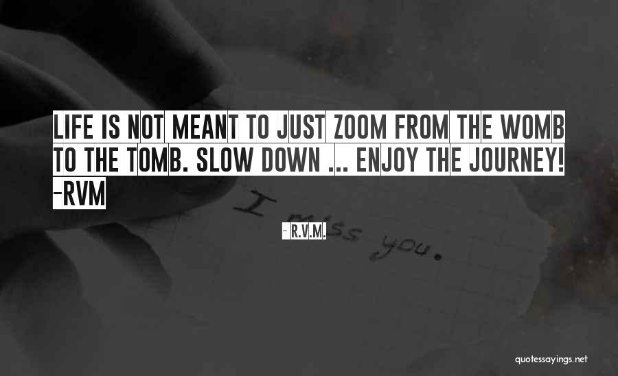 Enjoy Life Journey Quotes By R.v.m. Enjoy Life Journey Quotes By R.v.m.