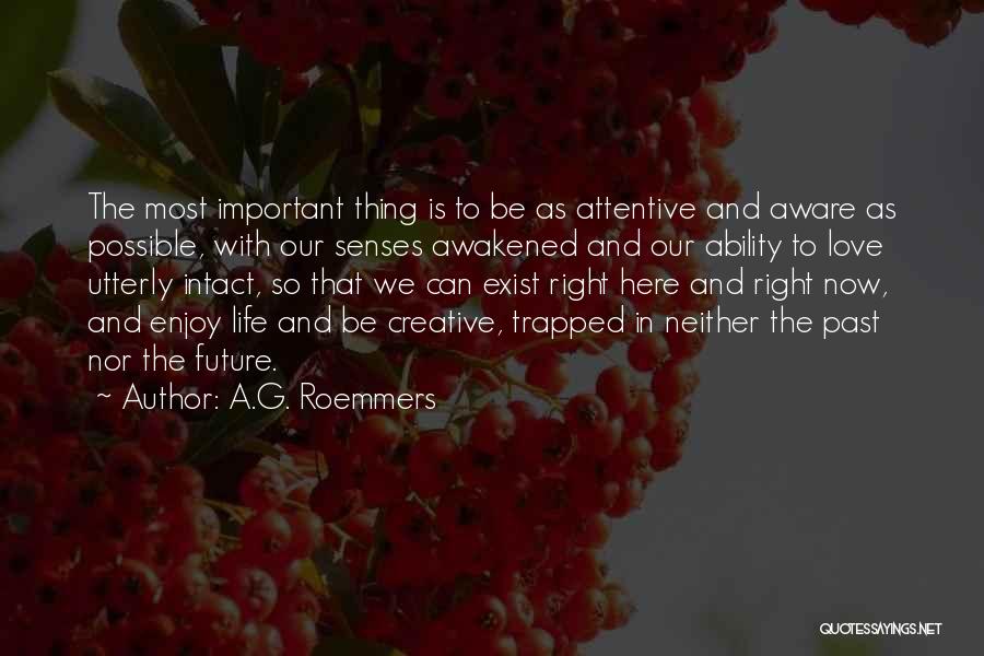 Enjoy Life With Love Quotes By A.G. Roemmers